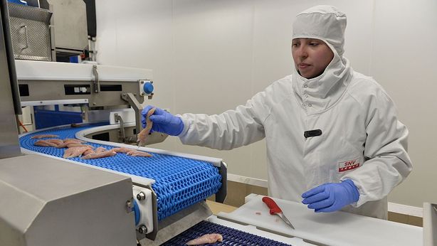 Carne di pollo: allarme Italia, batteri resistenti ad antibiotici