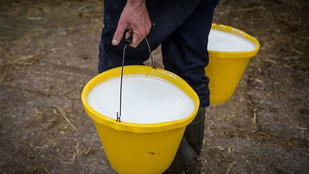 Con la Brexit formaggi e latticini diventeranno prodotti di lusso
