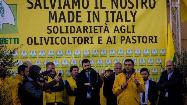 Proteste latte: fumata nera su accordo, “72 centesimi insufficienti”
