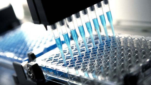 Kolinpharma lancia Declinex, integratore per malattie neurodegenerative