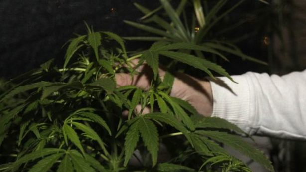 È dimostrato: marijuana utile contro la depressione