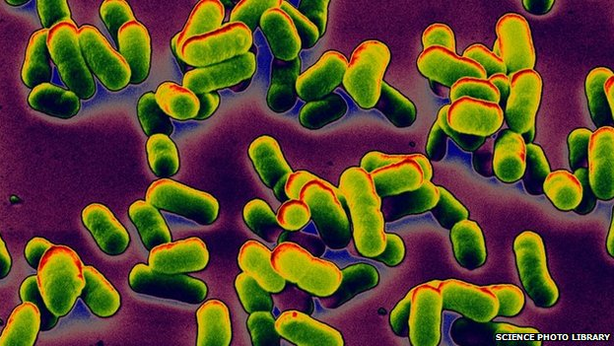 Cina: centinaia di persone in quarantena per paura epidemia di peste bubbonica