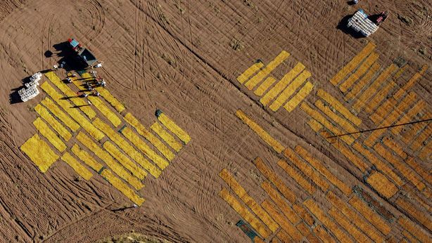 Caldo africano in arrivo. Entro il 2050, ci costerà 10 trilioni di euro