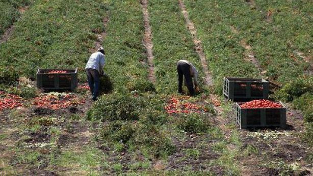 Lavoro nero: al Fisco costa 43 miliardi