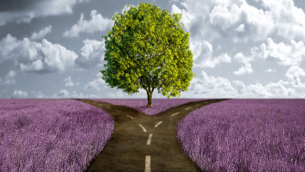 L’indice di forza relativa è ciclico?