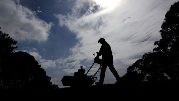 Ecosostenibilità: nei prossimi cinque anni aziende cercheranno oltre 600mila lavoratori