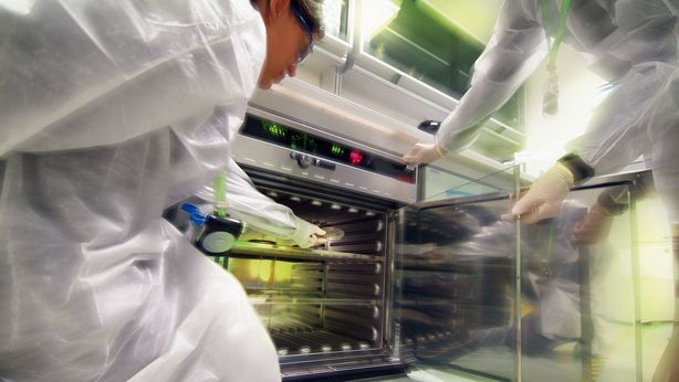 Lotta ai tumori, Novartis vuole comprare eccellenza italo-francese