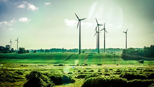 Carbon credit all’italiana