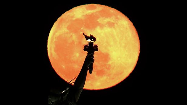 SpaceX: miliardario giapponese cerca 8 persone per andare sulla luna