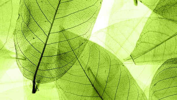 Fattore ESG: una finanza sostenibile per combattere l’impatto di Covid-19