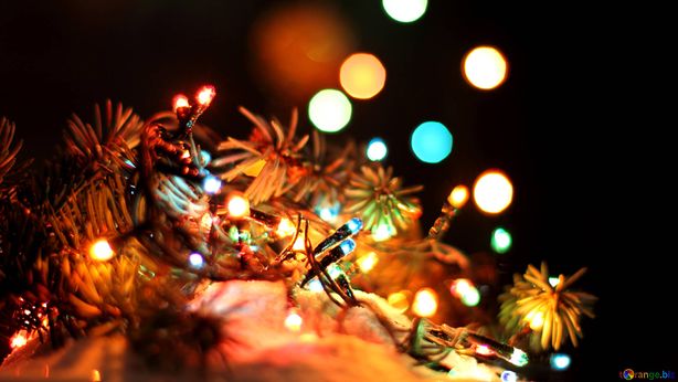 Albero e luci di Natale: ecco qual è il loro impatto su bollette e ambiente