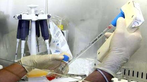 Stamina, otto avvisi di garanzia a medici e manager. Vannoni sotto indagine