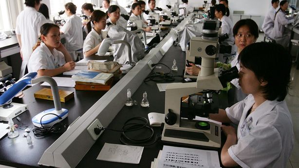 Italia: aumentano le PMI con potenziale di crescita notevole ma poco sfruttato