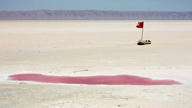 Il mare nel deserto: l’idea di un italiano per dare lavoro a migliaia di persone