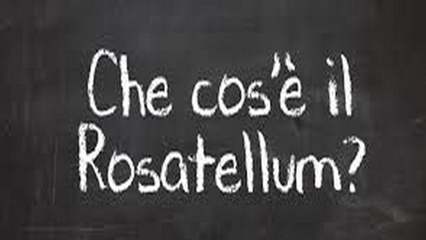 Politica nazionale: fiducia suicida