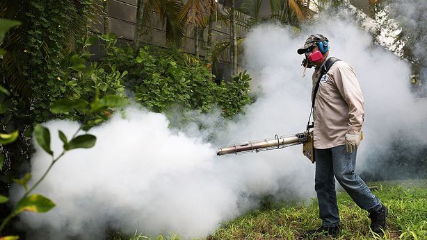 Miele: crolla la produzione a causa dei pesticidi. In serio pericolo vita api