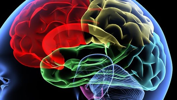 Studio shock: problemi di soldi? Intelligenza diminuisce