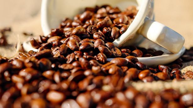 Caffè Borbone, ricavi in aumento del 5,6% nel primo trimestre 2026