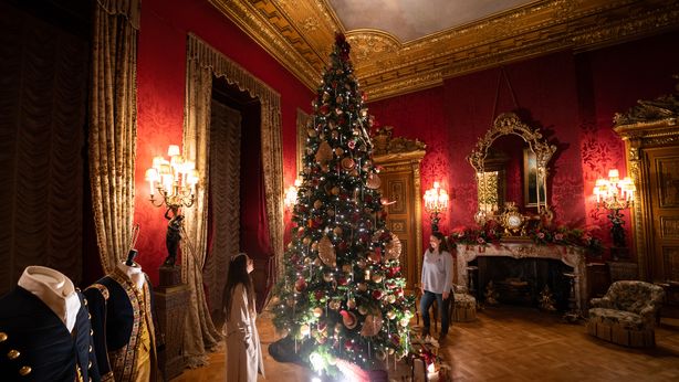 Bollette a Natale: come ridurre le spese senza rinunce