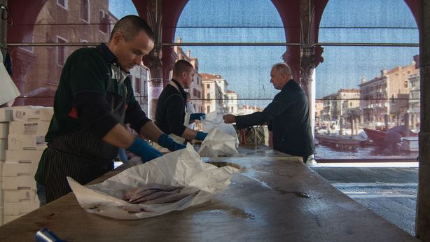 Italia, previsioni occupazionali ai massimi degli ultimi 8 anni