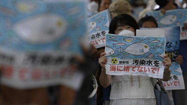 Fukushima e acque radioattive, Cina vieta l’import del pesce. Quali rischi in Italia? I numeri