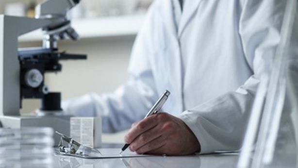 Fare esercizio fa bene al corpo e alla mente: le scoperte più banali del 2012
