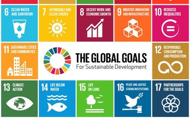 sdg obiettivi