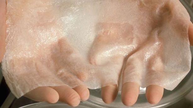 GREEN OLEO: realizzata produzione pilota di formulati cosmetici