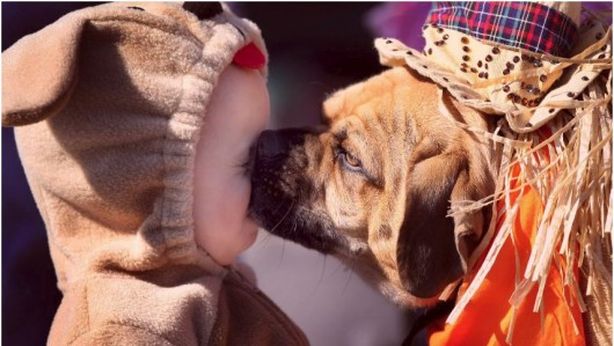 I cani proteggono i neonati dalle malattie respiratorie