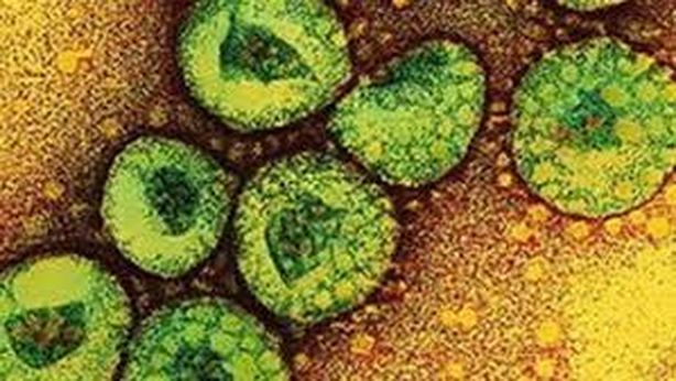 Coronavirus: dieci contagi “nuova Sars” a Firenze