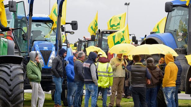 Agricoltori in piazza contro embargo russo: “Ci costa 600 milioni l’anno”