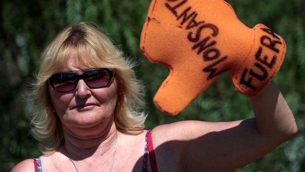 Farsa glifosato in Ue, Francia vieta uso del pesticida di Monsanto