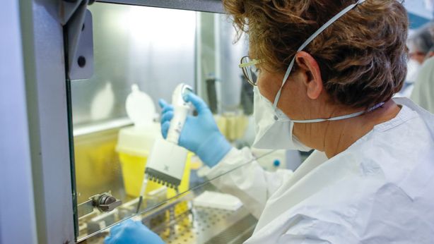 Coronavirus, Usa: Fda approva i test sugli anticorpi