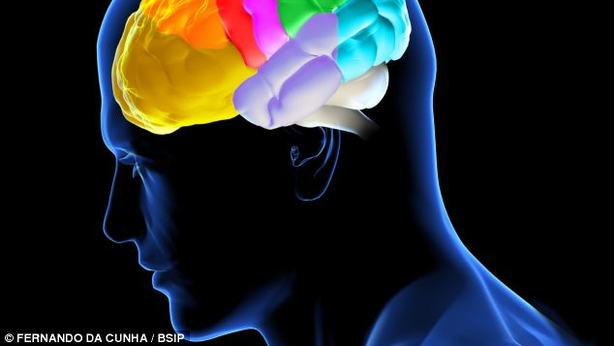 Fumare da adolescenti può portare danni al cervello