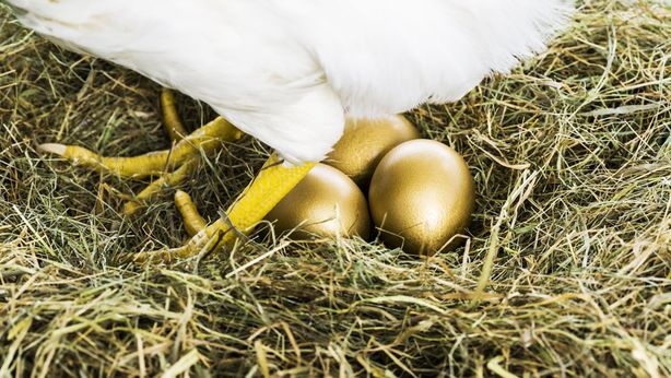 La guerra: la gallina dalle uova d’oro
