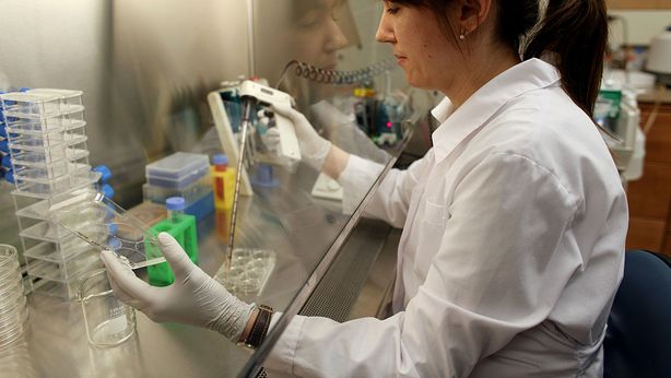 Salute: individuata vitamina che riduce rischio cancro