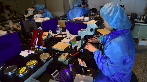 Biotech, le quotazioni sono tornate sulla terra