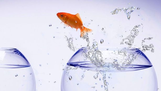 Più trasparenza nella consulenza finanziaria