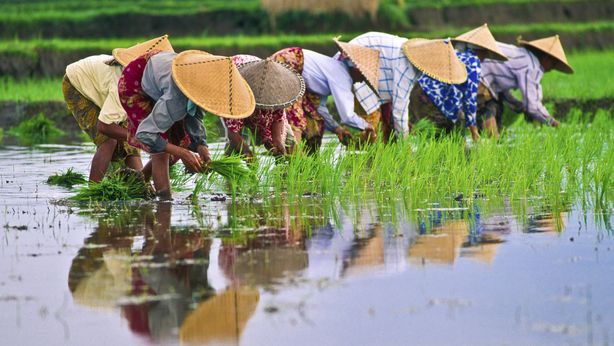 Banca centrale Indonesia alza a sorpresa i tassi al 6%