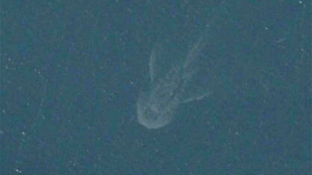 Mappe di Apple svelano il mistero del mostro di Loch Ness
