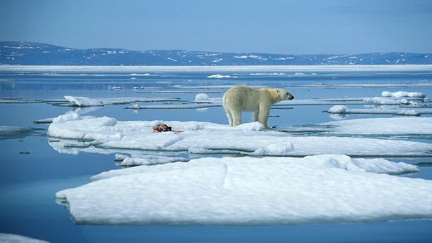 Dieci anni per salvare il pianeta