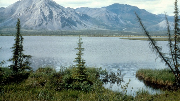 Alaska: successo per petizione che chiede annessione a Russia