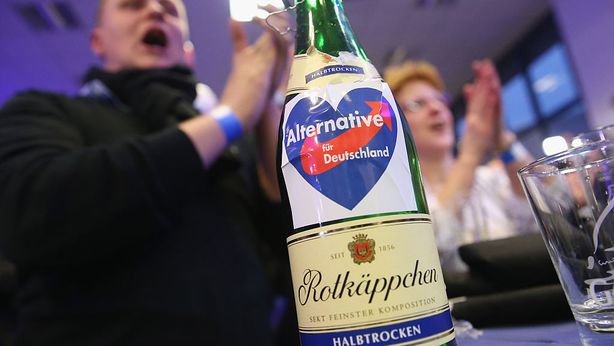 Ritorno al marco e porte chiuse ai migranti: il programma di AfD