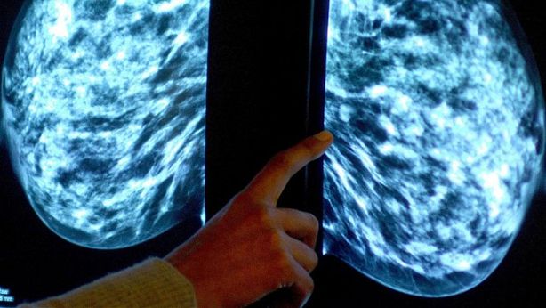 Oms: prodotti chimici presenti in casa possono provocare cancro e sterilità