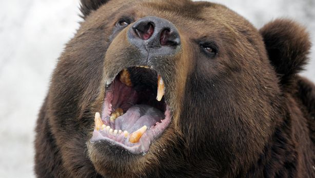 Bufera a Wall Street: Citi taglia target S&P 500