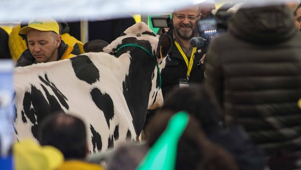 Crisi del latte, Panero: “Solo un aumento dei prezzi può salvarci”
