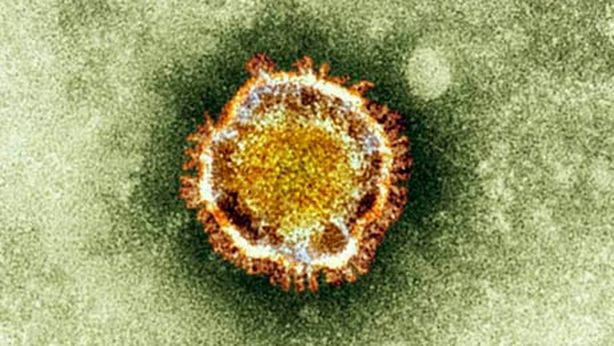 Regno Unito: secondo caso di virus killer simile alla Sars