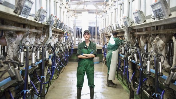 Più fiducia nelle imprese, ma paura di perdere il lavoro