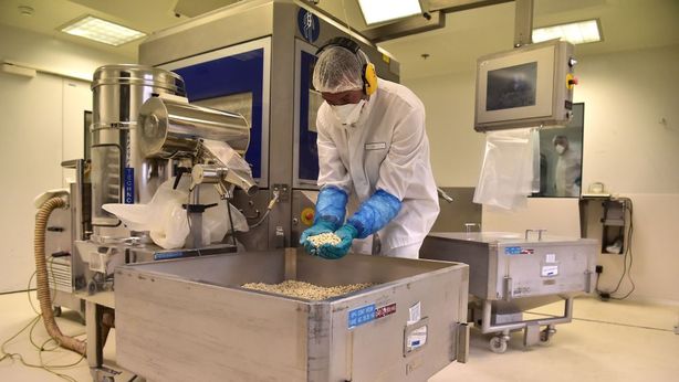 Pillola della longevità, primi esperimenti sull’uomo