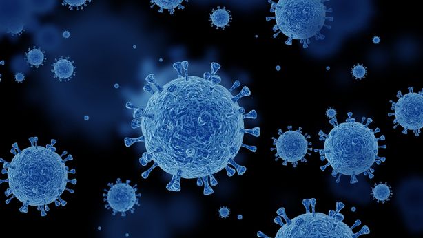 Il 2022 l’anno dei contagi, dopo Omicron scoperta una nuova variante